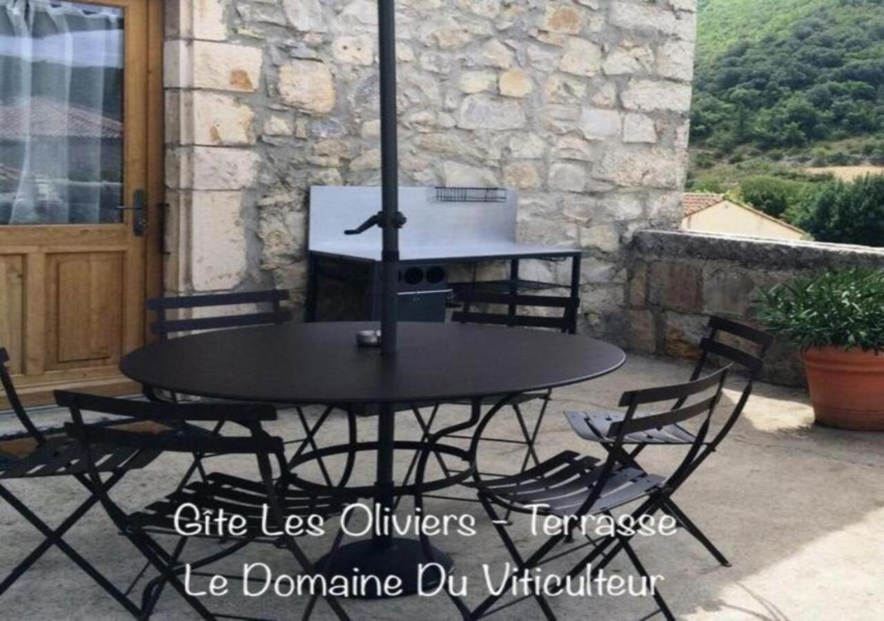 Gite Les Oliviers - Le Domaine Du Viticulteur - St Maurice D Ibie Saint-Maurice-dʼIbie Exteriör bild